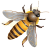 HTH Engineering Bee